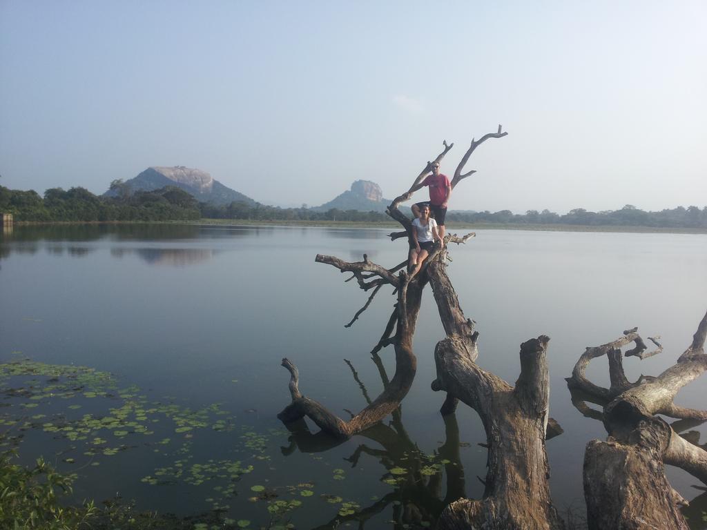 Sigiriya Lahiru Homestay Eksteriør billede