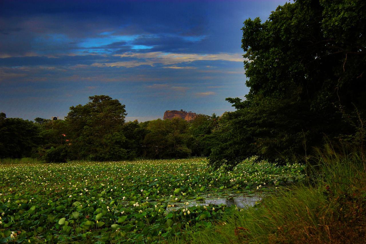 Sigiriya Lahiru Homestay Eksteriør billede