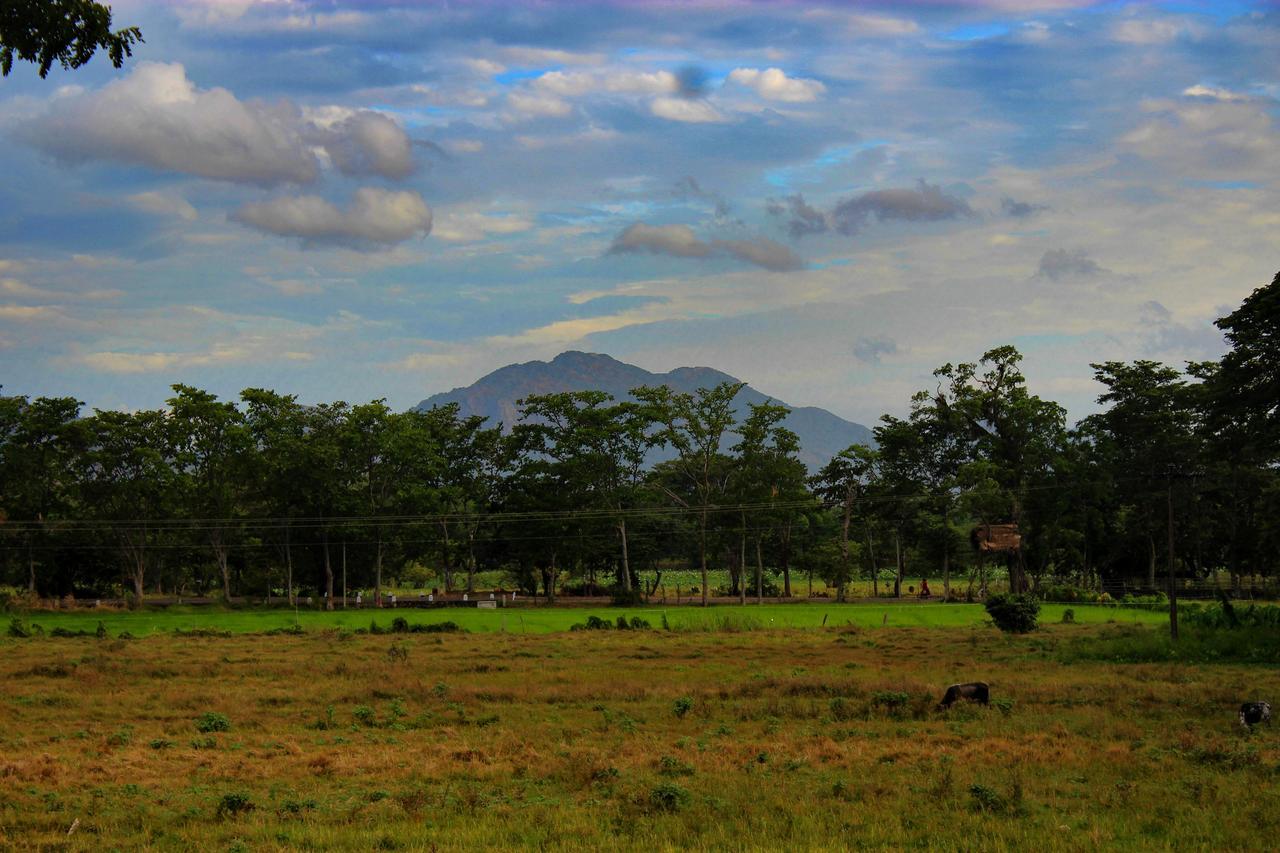 Sigiriya Lahiru Homestay Eksteriør billede