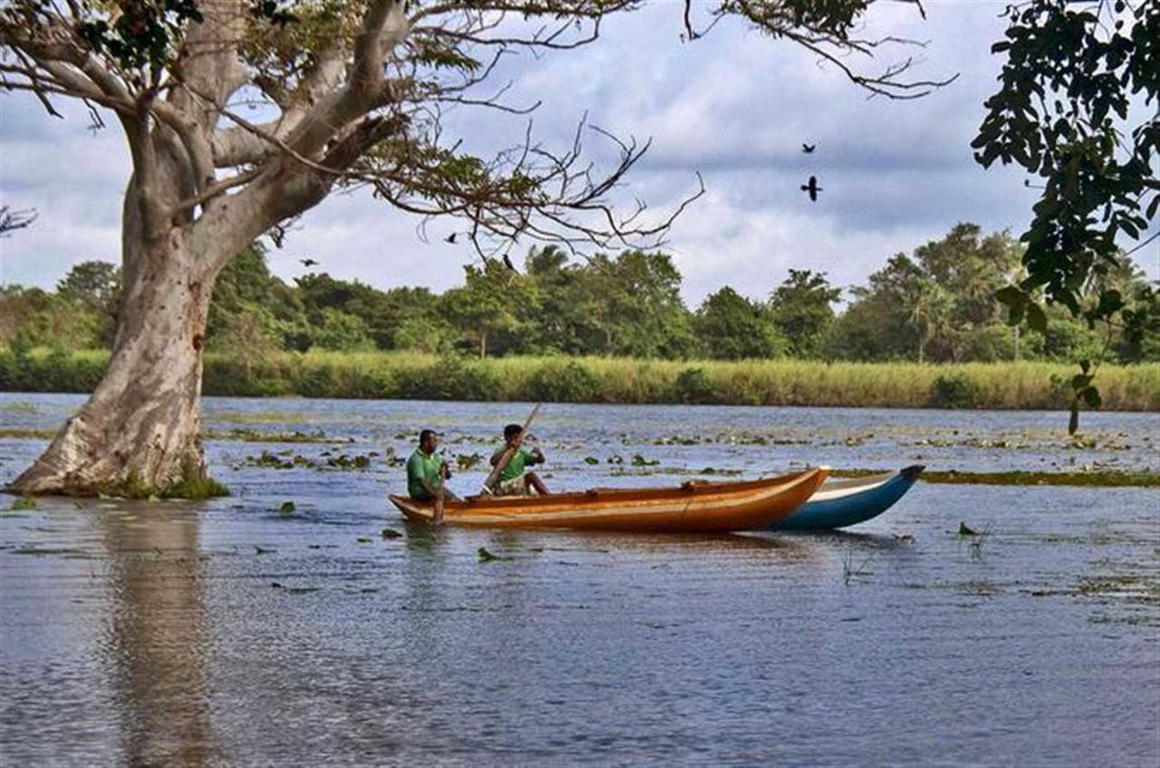 Sigiriya Lahiru Homestay Eksteriør billede