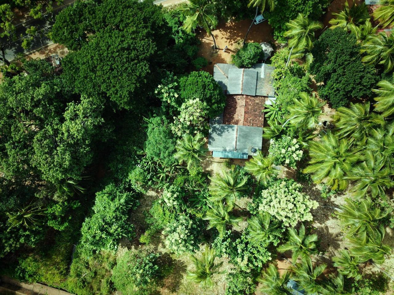 Sigiriya Lahiru Homestay Eksteriør billede