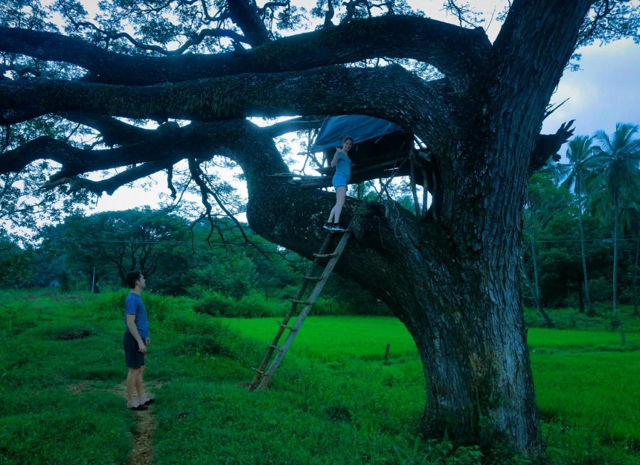 Sigiriya Lahiru Homestay Eksteriør billede